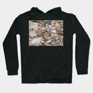 Old roman wall Hoodie